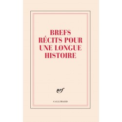Grand Carnet «Brefs récits pour une longue histoire» Gallimard