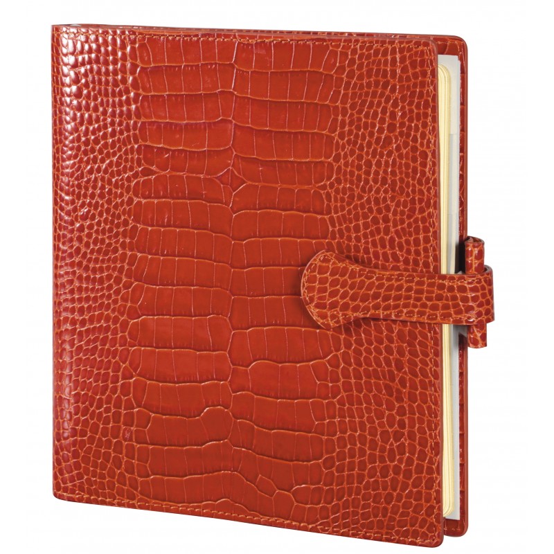 Organiseur AK 17  Savannah orange Mignon