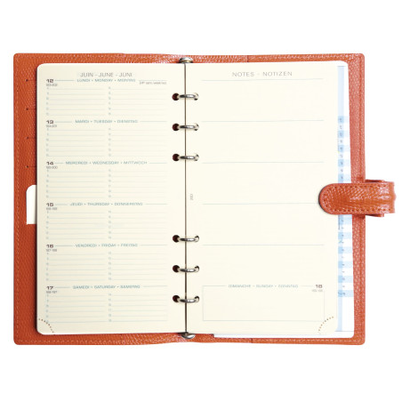 Organiseur AK 18 Bornéo orange épicé Mignon