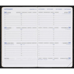 Recharge Agenda Semainier Moderne - Janvier 2025 à Janvier 2026 - Format Poche 8x13 Cm - Tranche Dorée