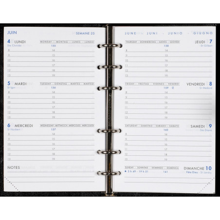 Agenda 9 × 15 Pekari avec patte - Agenda Moderne